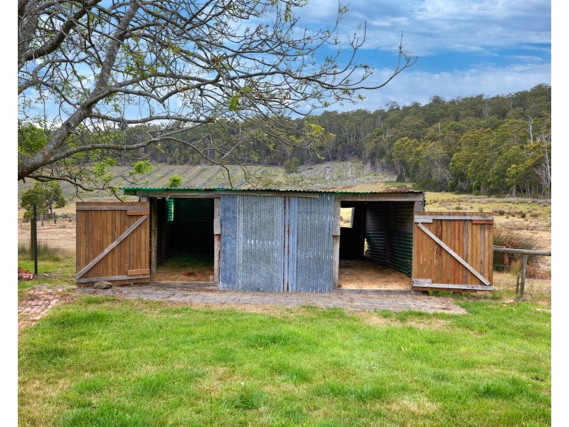 520 Bradys Plain Road, Parkham TAS 7304