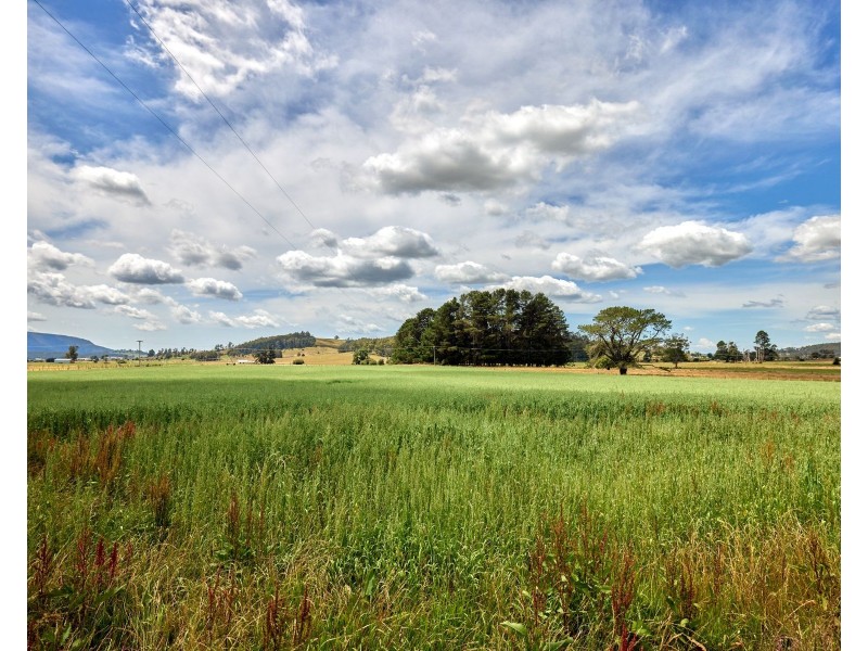 49 Rosedean Road, Caveside TAS 7304