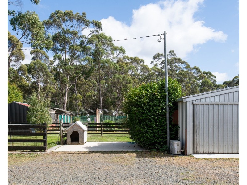 160 Pipers River Road, Turners Marsh TAS 7267