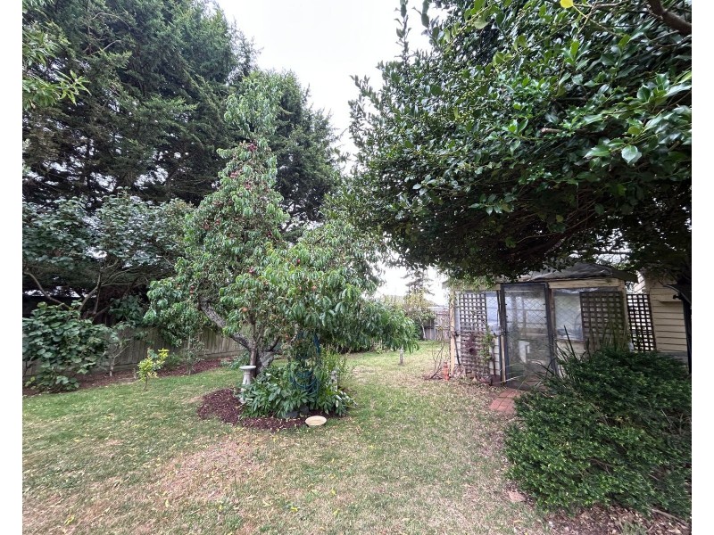 38, Grigg Street, Deloraine TAS 7304