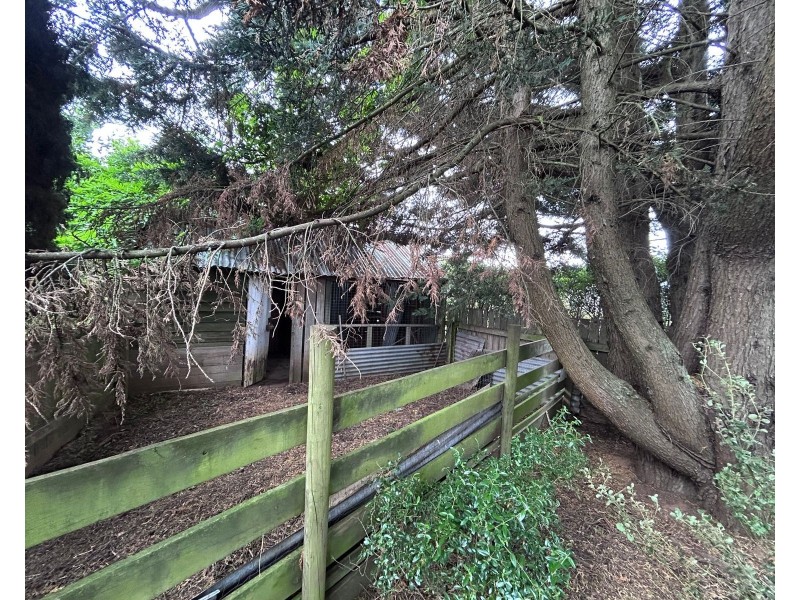 38, Grigg Street, Deloraine TAS 7304