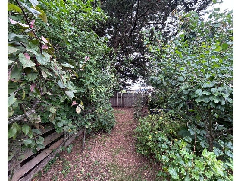 38, Grigg Street, Deloraine TAS 7304
