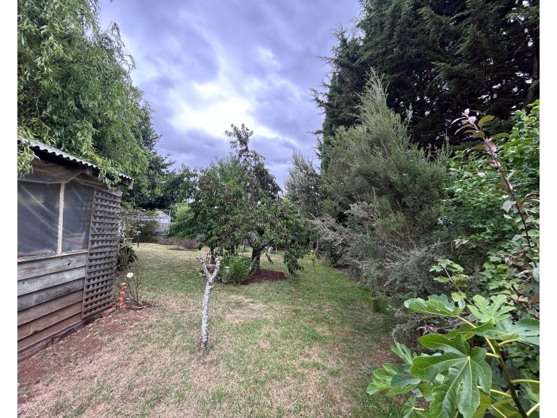 38, Grigg Street, Deloraine TAS 7304