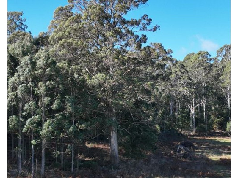 90 Samuel Street,, Elizabeth Town TAS 7304