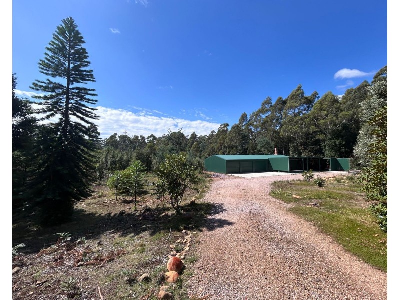 131 Cunninghams Road, Western Creek TAS 7304