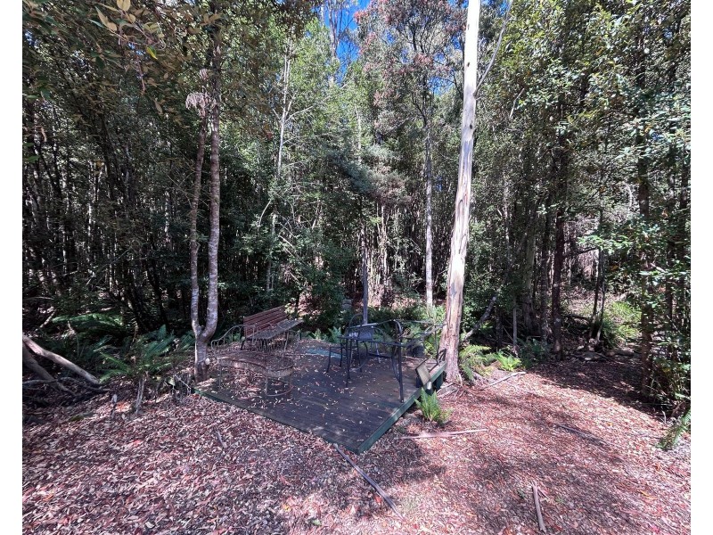 131 Cunninghams Road, Western Creek TAS 7304