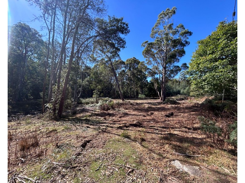 1 Johns Road,, Reedy Marsh TAS 7304