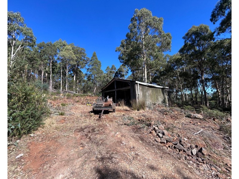 1 Johns Road,, Reedy Marsh TAS 7304