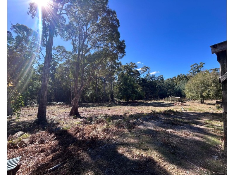 1 Johns Road,, Reedy Marsh TAS 7304