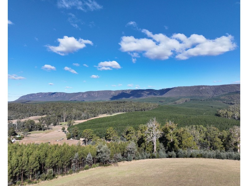 Lot 1 Dawkins Road, Lower Beulah TAS 7306