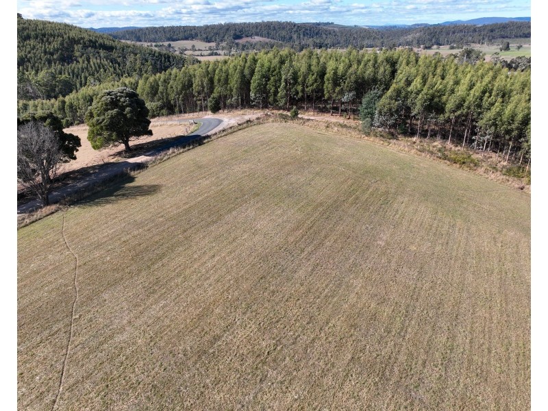 Lot 1 Dawkins Road, Lower Beulah TAS 7306