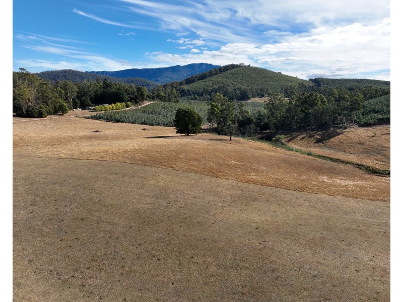 Lot 1 Dawkins Road, Lower Beulah TAS 7306
