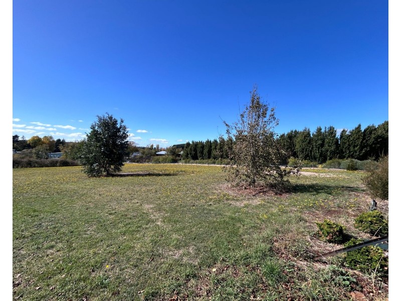 16 East Westbury Place, Deloraine TAS 7304