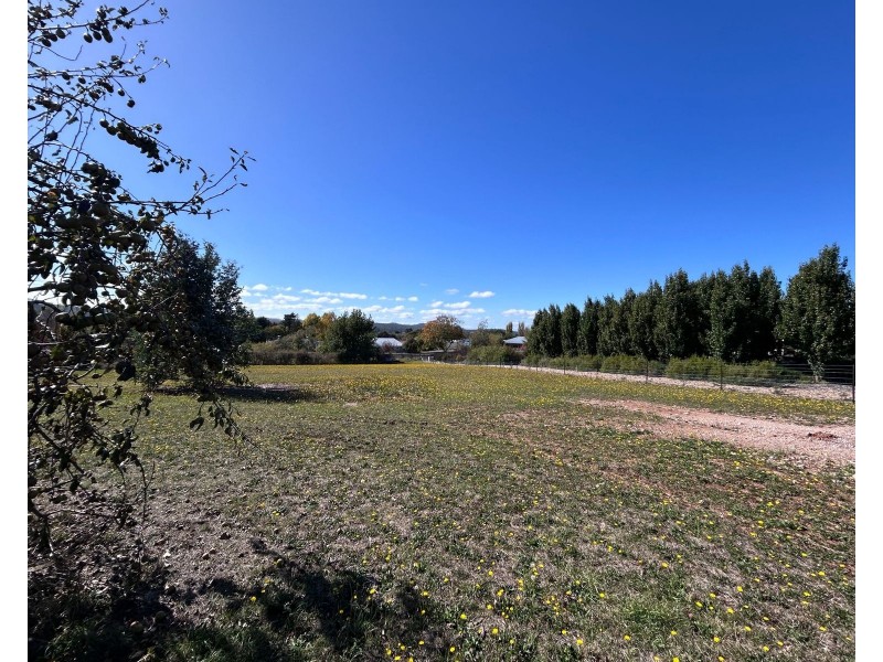 16 East Westbury Place, Deloraine TAS 7304