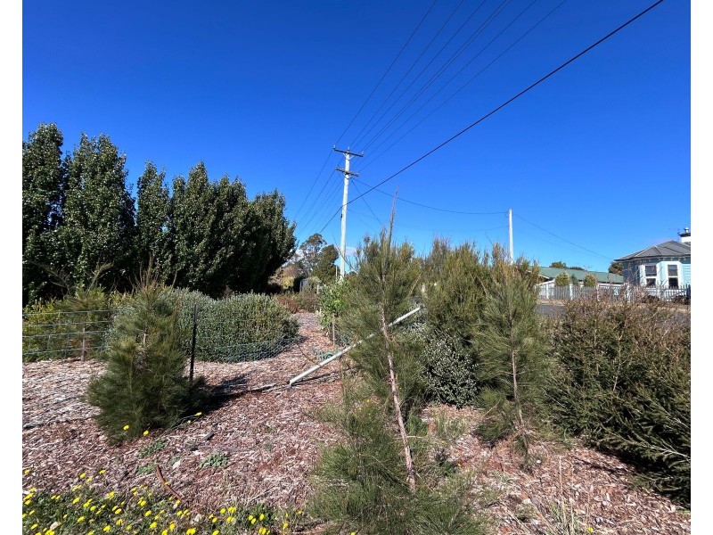 16 East Westbury Place, Deloraine TAS 7304