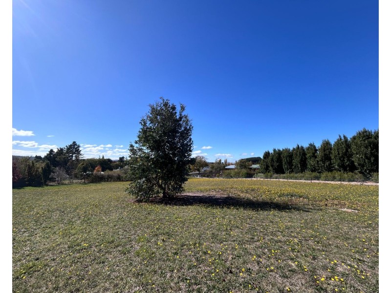 16 East Westbury Place, Deloraine TAS 7304