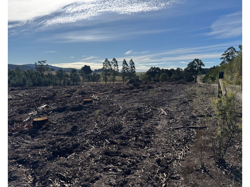 Lot 2 Hodgetts Road, Holwell TAS 7275