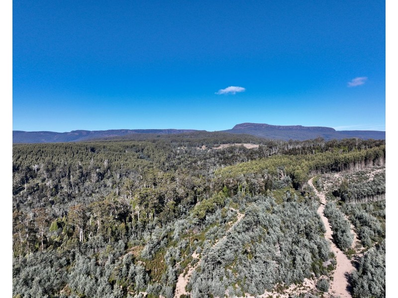Lot 1 Highland Lakes Road, Golden Valley TAS 7304