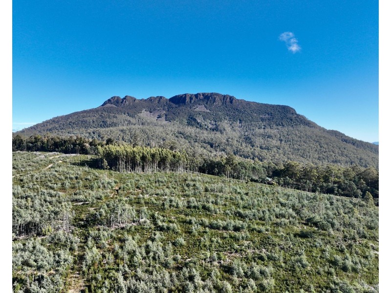 Lot 1 Highland Lakes Road, Golden Valley TAS 7304