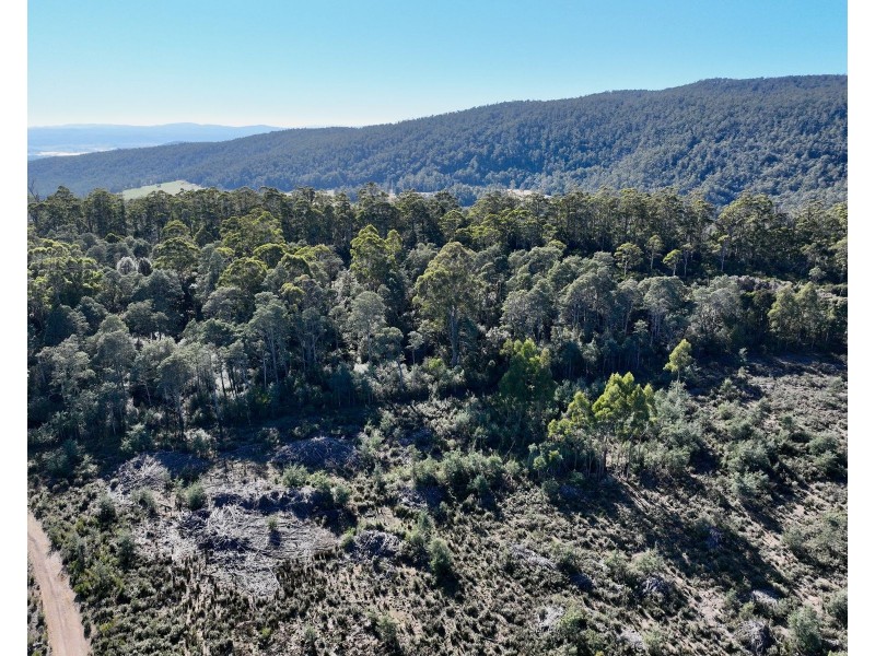 Lot 1 Highland Lakes Road, Golden Valley TAS 7304