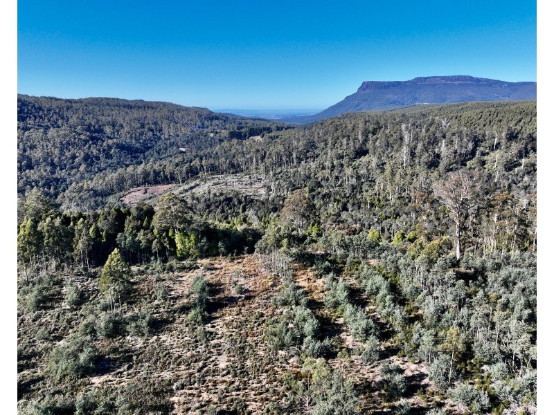 Lot 1 Highland Lakes Road, Golden Valley TAS 7304