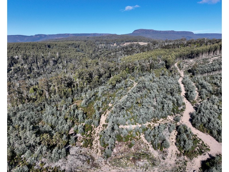 Lot 1 Highland Lakes Road, Golden Valley TAS 7304