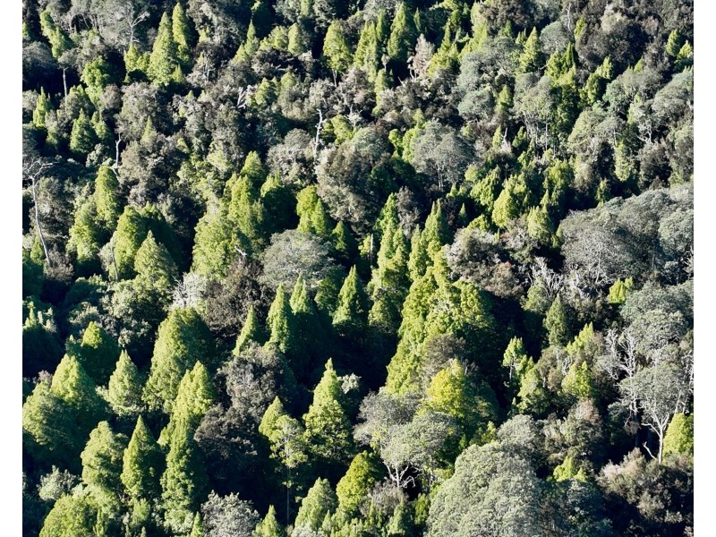 Lot 1 Highland Lakes Road, Golden Valley TAS 7304