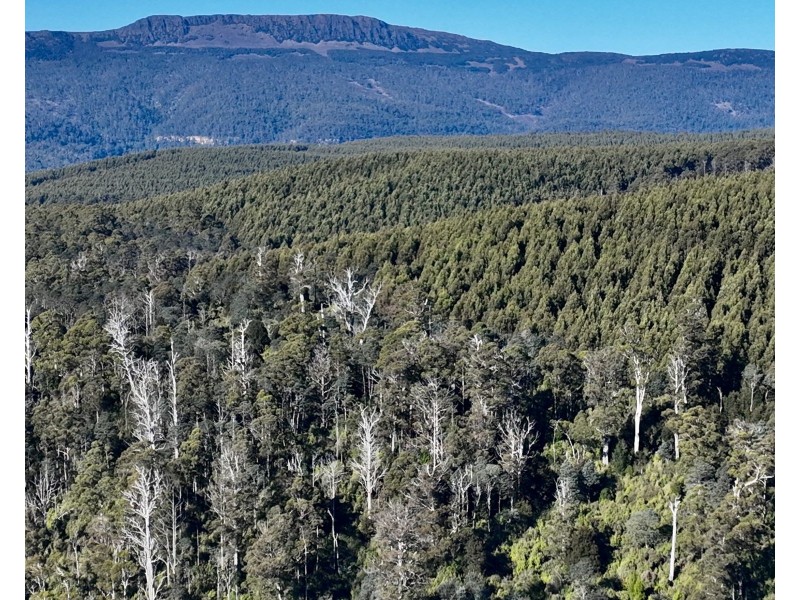 Lot 1 Highland Lakes Road, Golden Valley TAS 7304