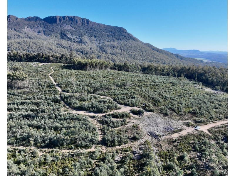 Lot 1 Highland Lakes Road, Golden Valley TAS 7304