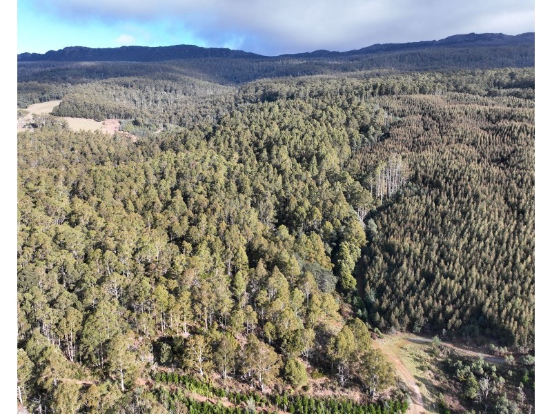 0 Azels Road, Mole Creek TAS 7304