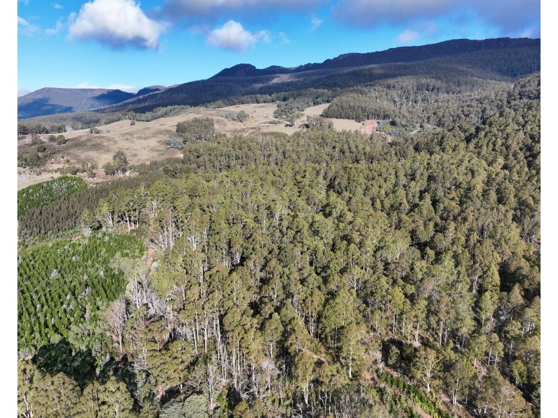 0 Azels Road, Mole Creek TAS 7304