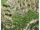 0 Azels Road, Mole Creek TAS 7304