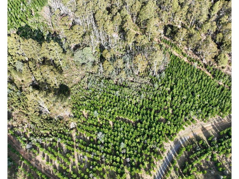 0 Azels Road, Mole Creek TAS 7304