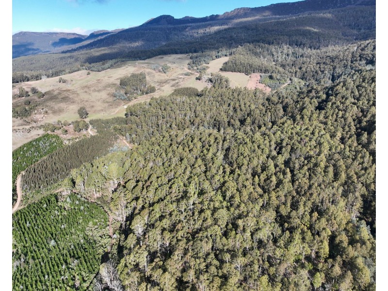 0 Azels Road, Mole Creek TAS 7304