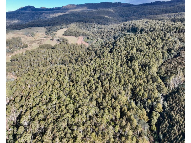 0 Azels Road, Mole Creek TAS 7304