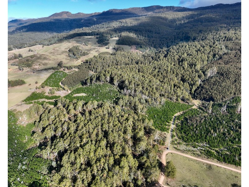 0 Azels Road, Mole Creek TAS 7304