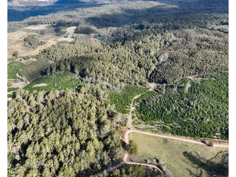 0 Azels Road, Mole Creek TAS 7304