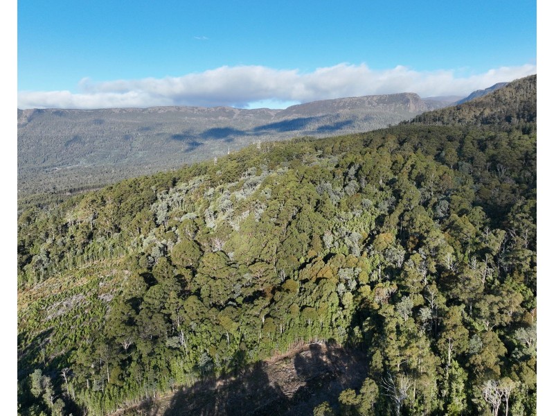 Lot 1 Western Creek Road,, Western Creek TAS 7304