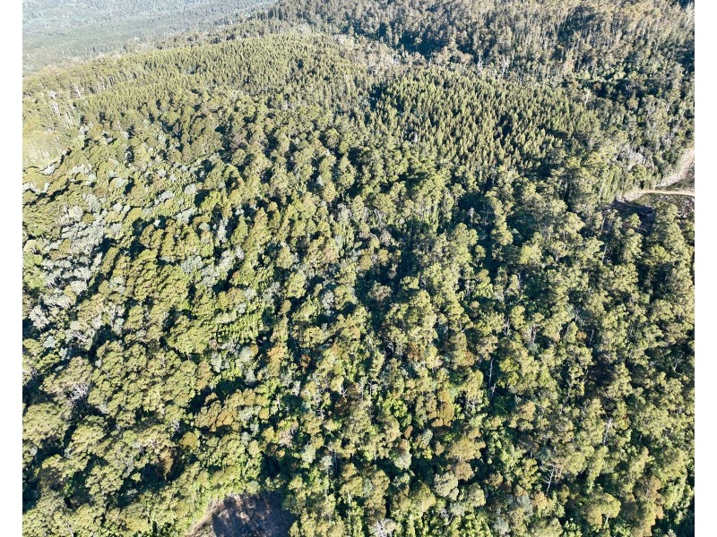 Lot 1 Western Creek Road,, Western Creek TAS 7304