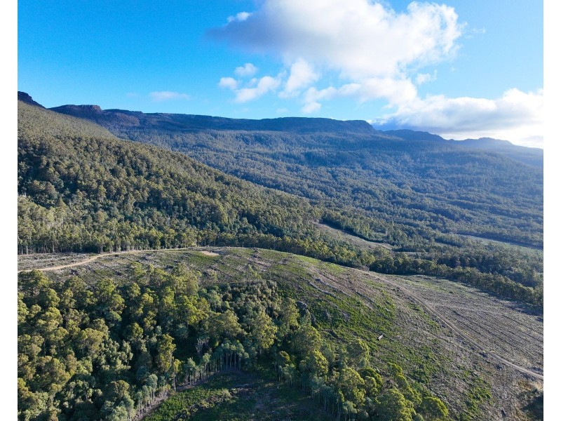 Lot 1 Western Creek Road,, Western Creek TAS 7304