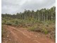 218 Farrells Road, Reedy Marsh TAS 7304