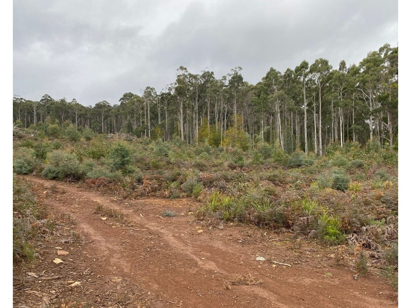 218 Farrells Road, Reedy Marsh TAS 7304