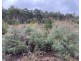 218 Farrells Road, Reedy Marsh TAS 7304