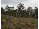 218 Farrells Road, Reedy Marsh TAS 7304