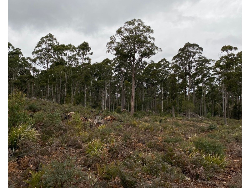 218 Farrells Road, Reedy Marsh TAS 7304