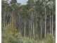 218 Farrells Road, Reedy Marsh TAS 7304