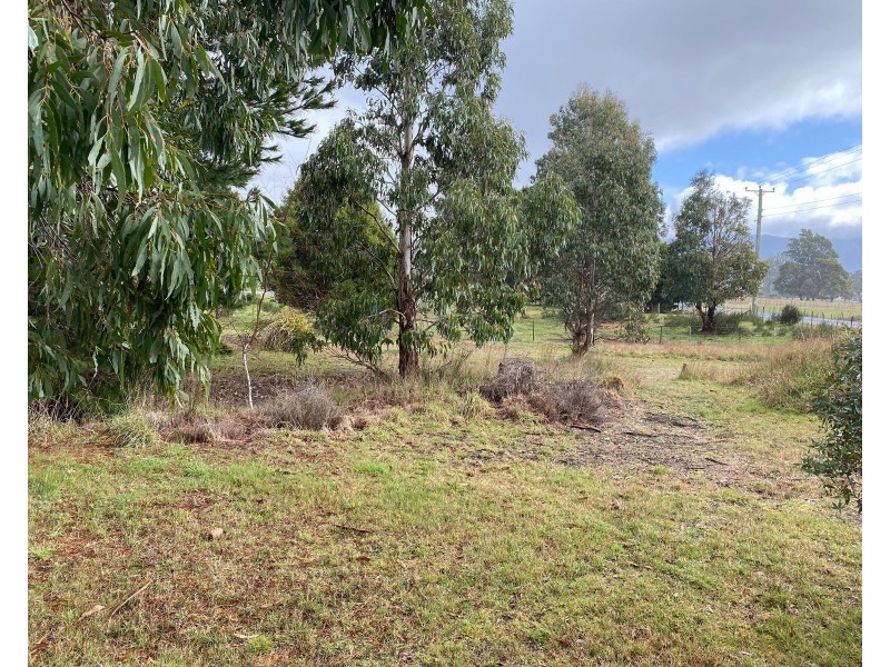 43 Union Bridge Road, Mole Creek TAS 7304
