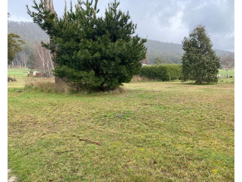 43 Union Bridge Road, Mole Creek TAS 7304