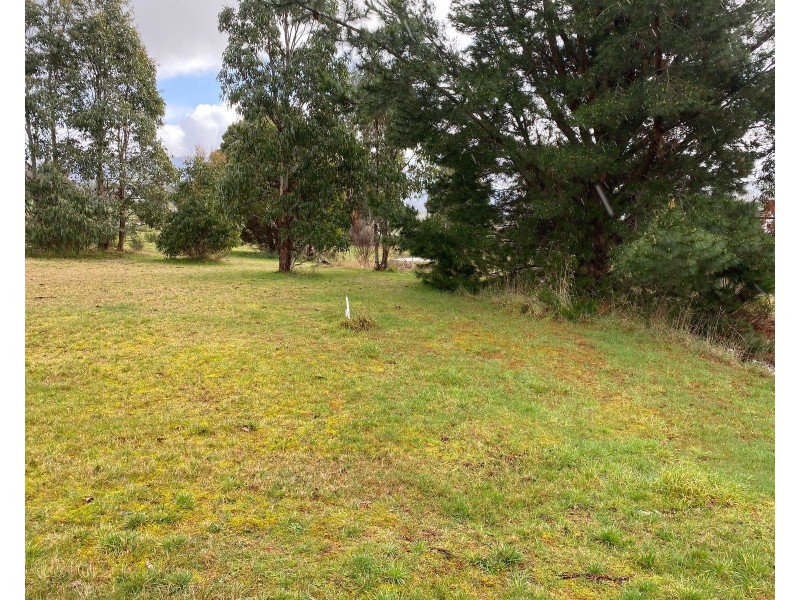 43 Union Bridge Road, Mole Creek TAS 7304