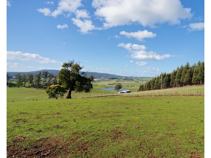 410 Coxs Road, Red Hills TAS 7304